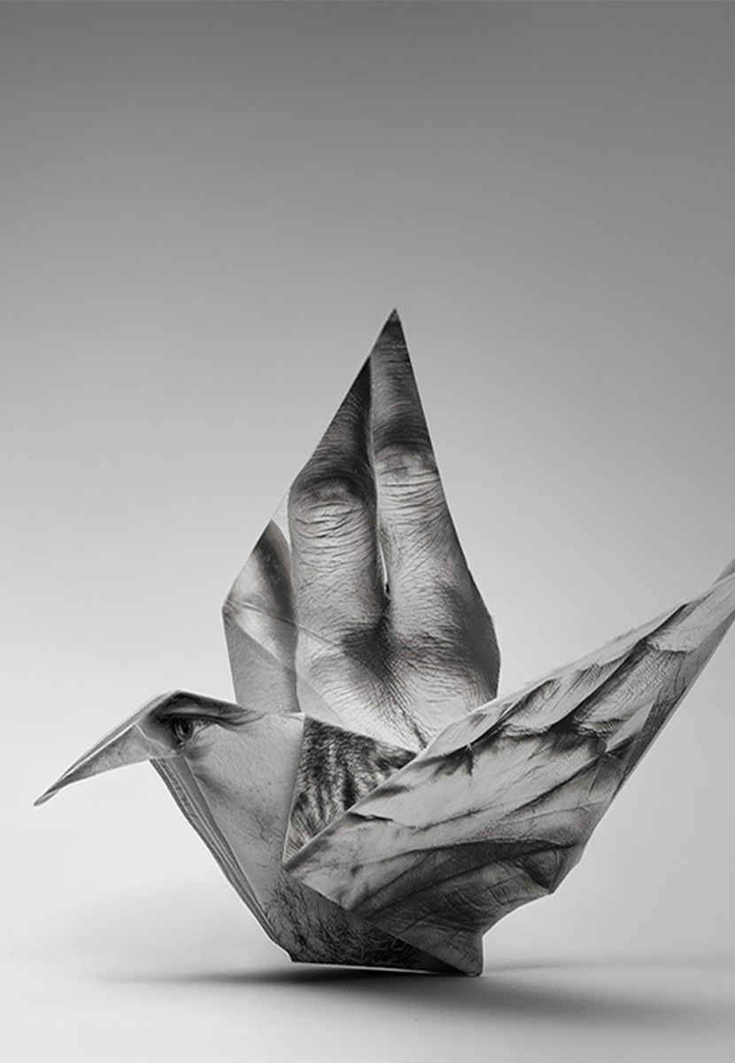 Alemdağ'da Var Bir Yılan