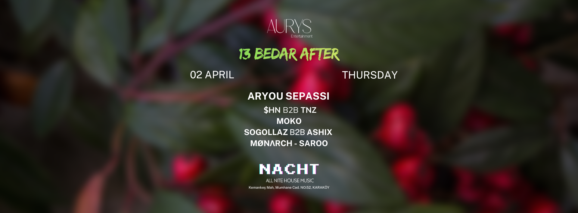 13 BEDAR AT NACHT