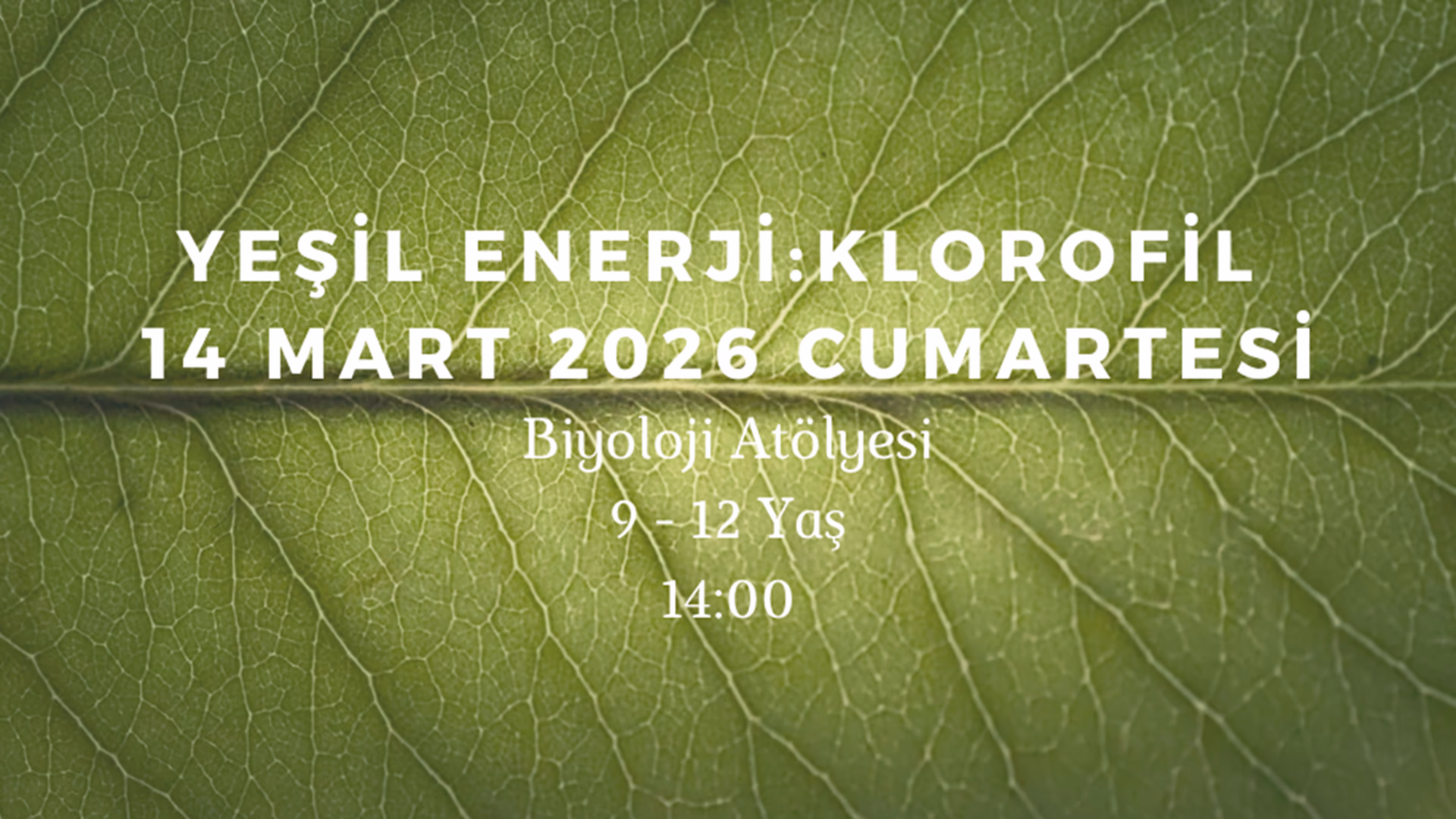 Yeşil Enerji - Klorofil 9-12 Yaş
