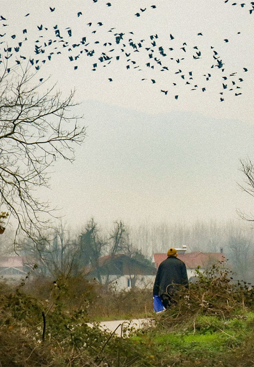 Babamın Sesine Uyandım