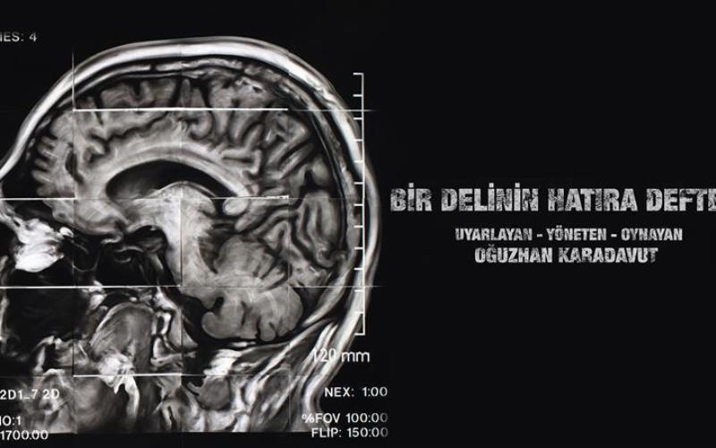 Bir Delinin Hatıra Defteri - Oğuzhan Karadavut