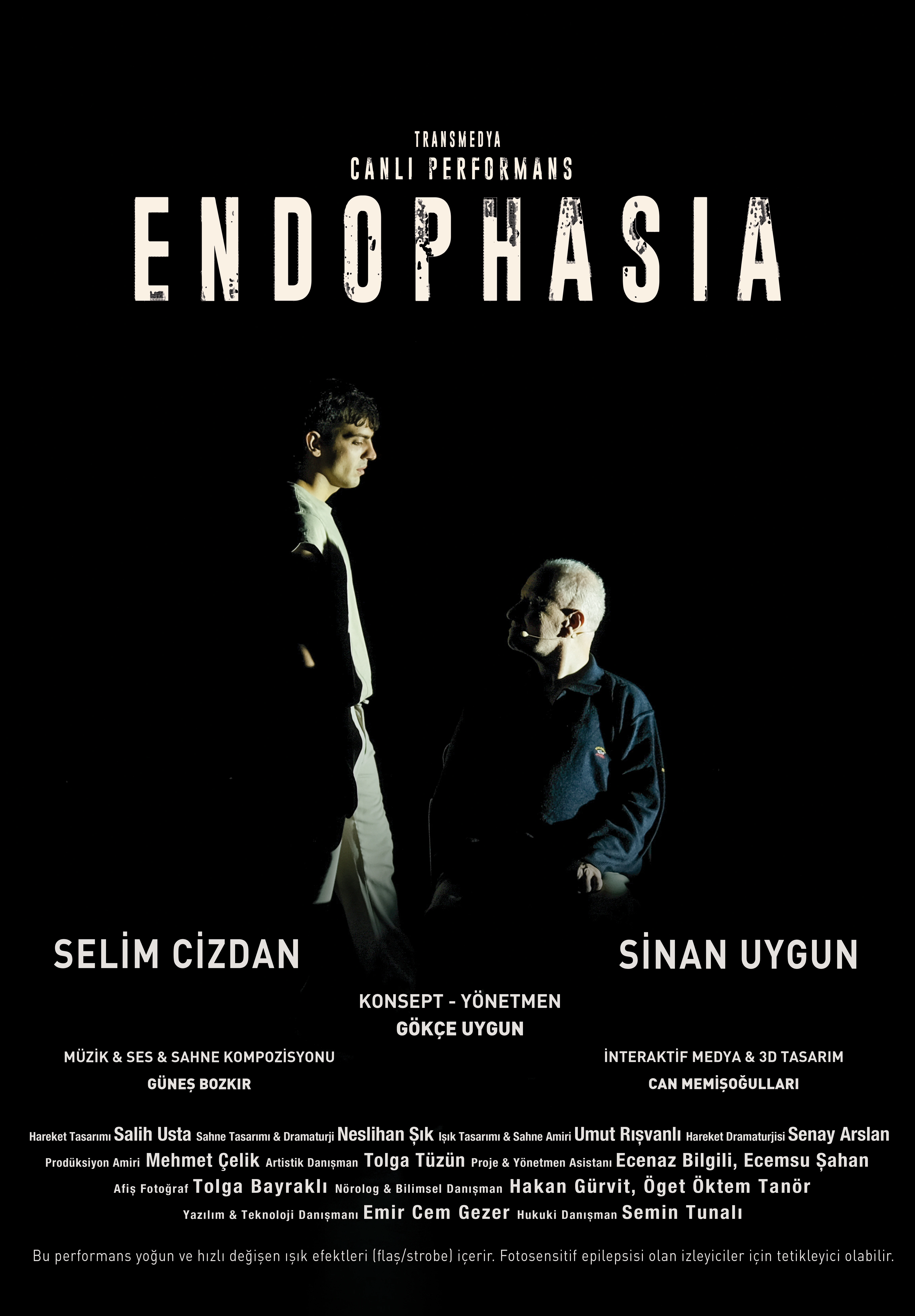 Endophasia