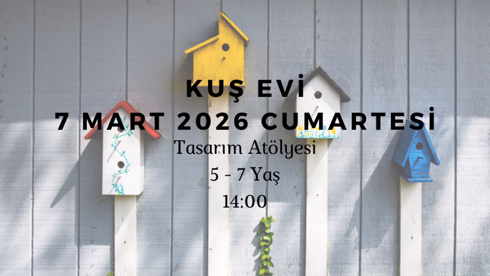 Kuş Evi 5-7 Yaş