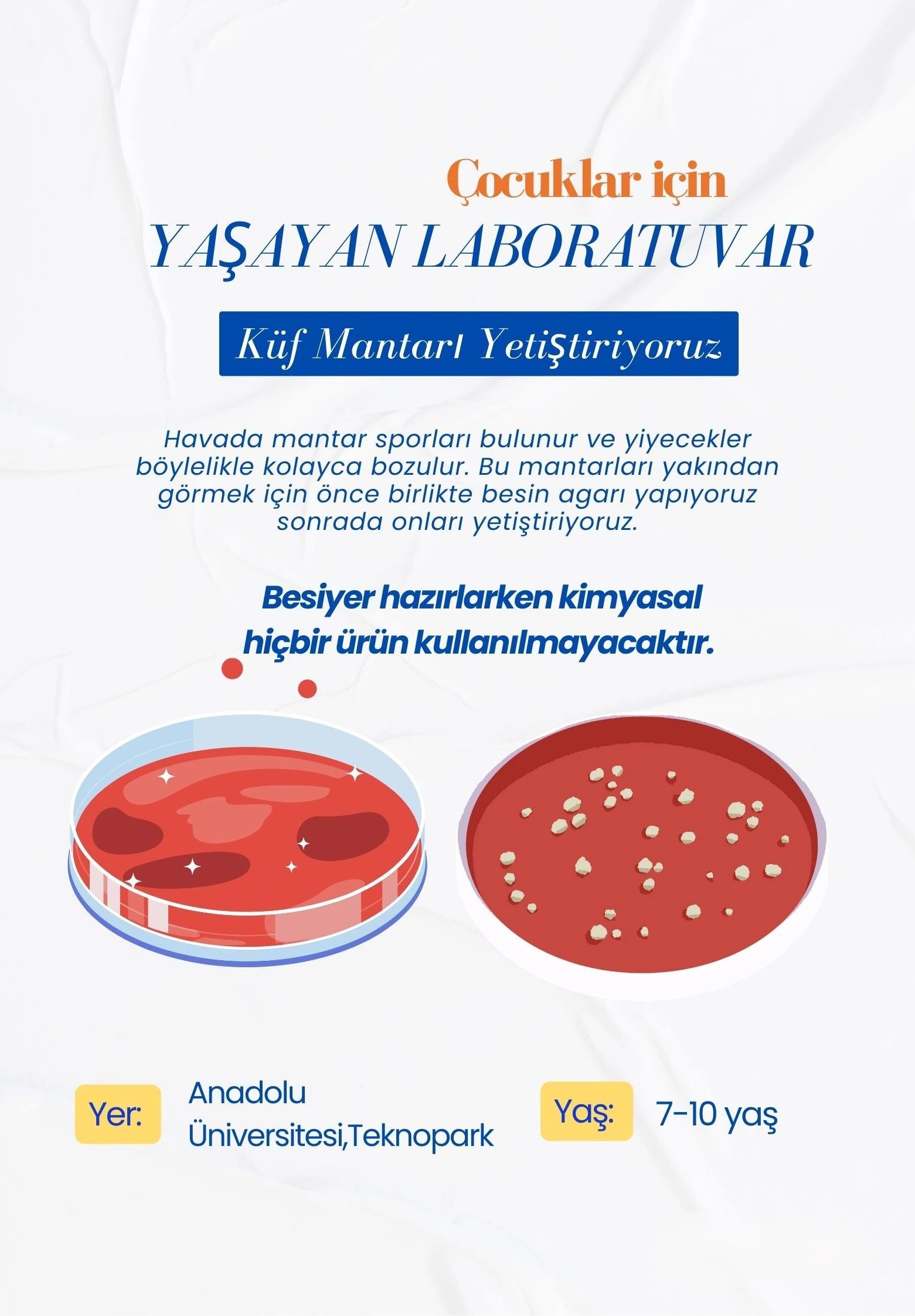 Yaşayan Laboratuvar