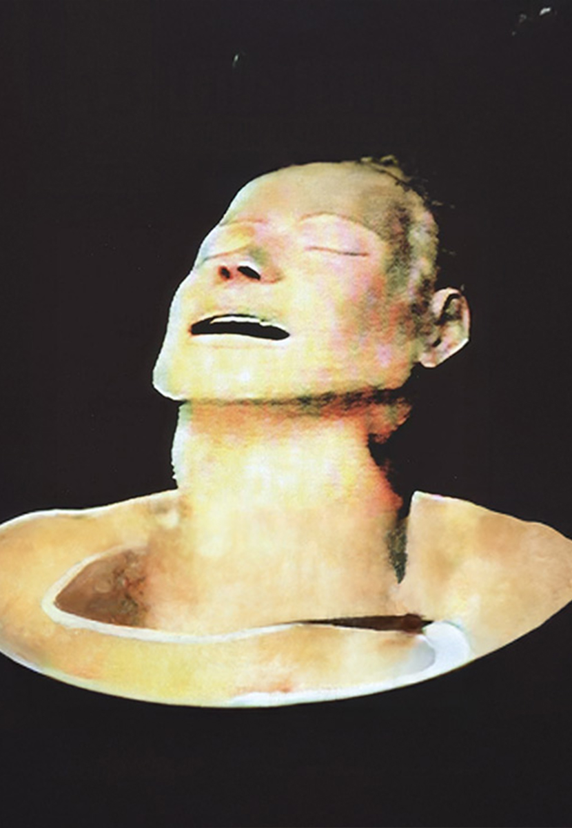 Lotus Flower Radiohead Tribute Band