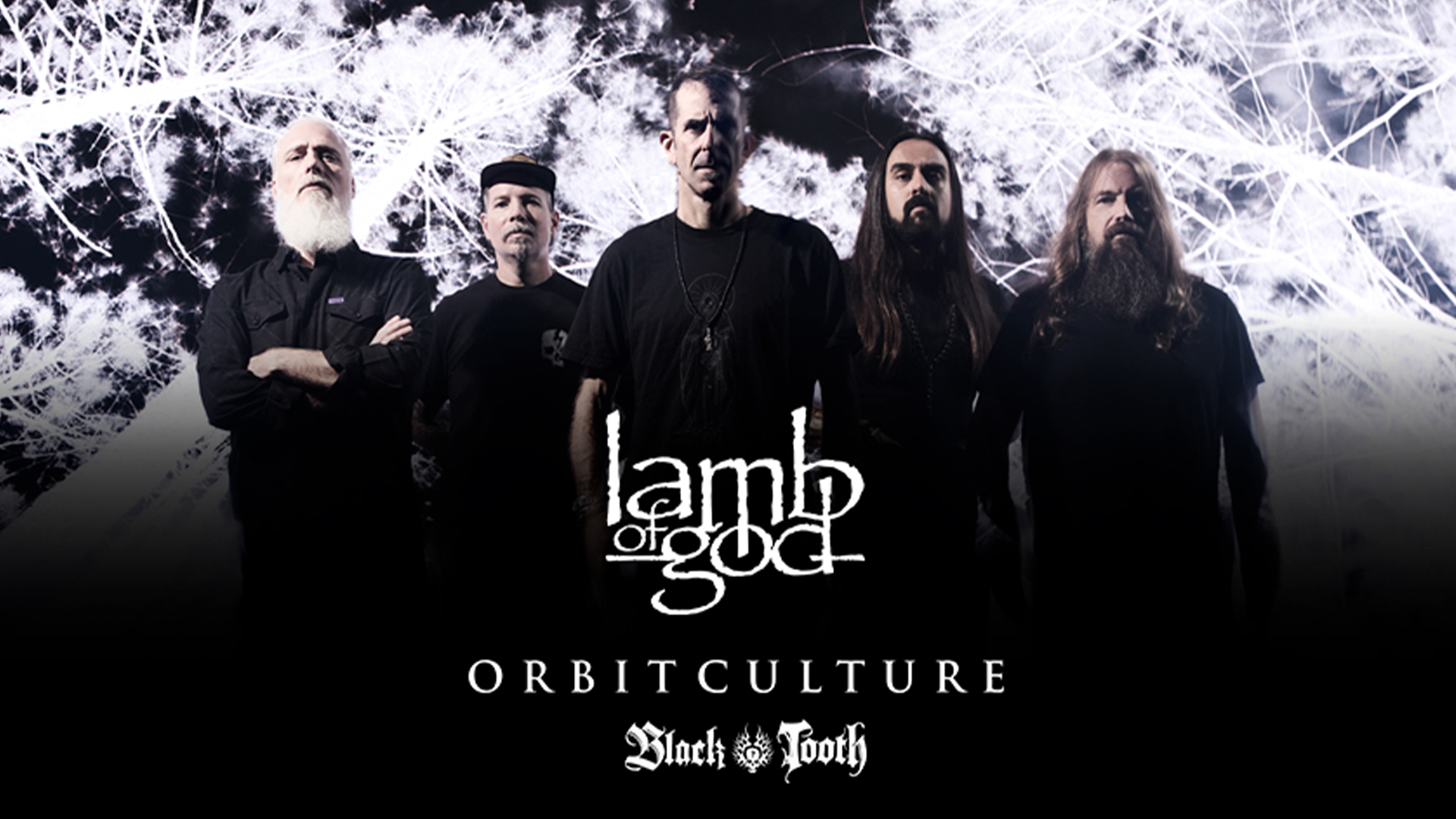 Lamb of God