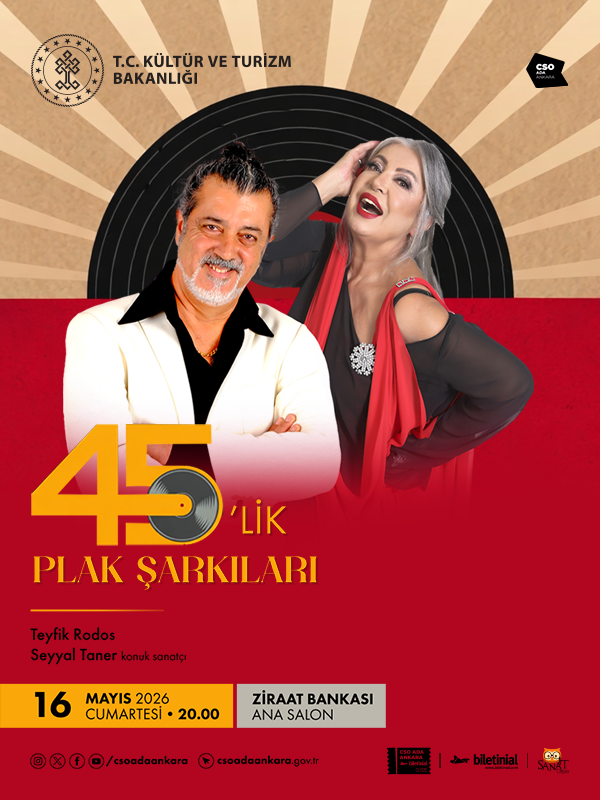 45'lik Plak Şarkıları