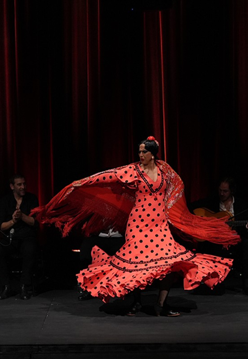 Naturalmente Flamenco