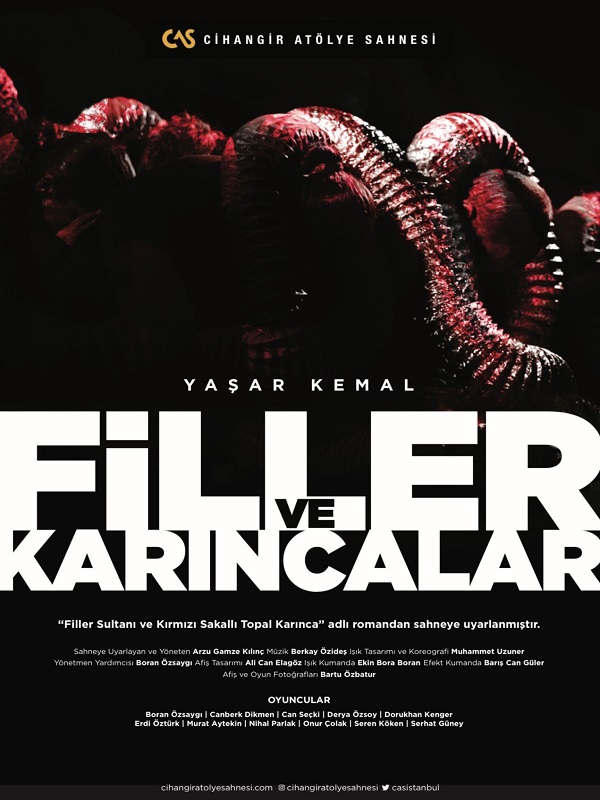 Filler ve Karıncalar