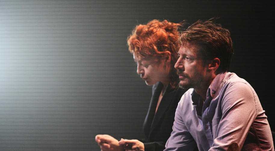 Elma, Labrador, Çimen