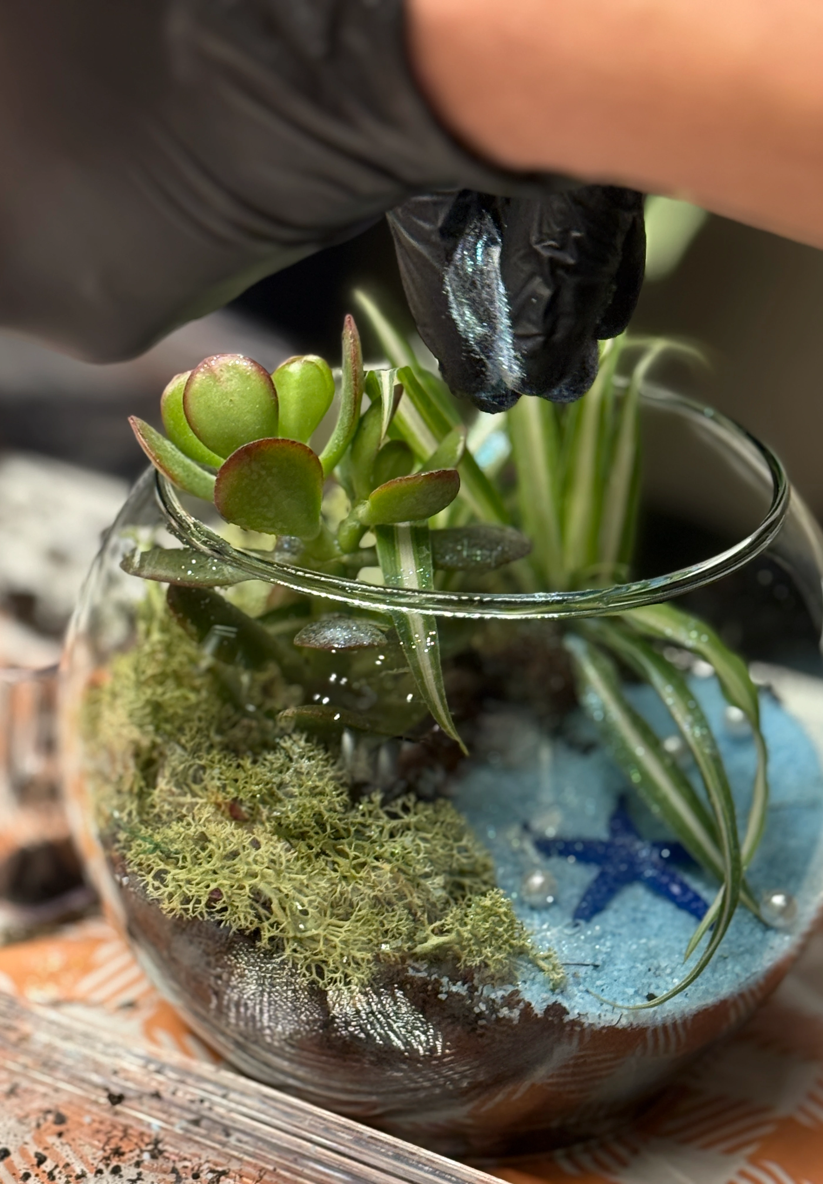 Terra Point Art - Kadınlar Günü Teraryum Workshop