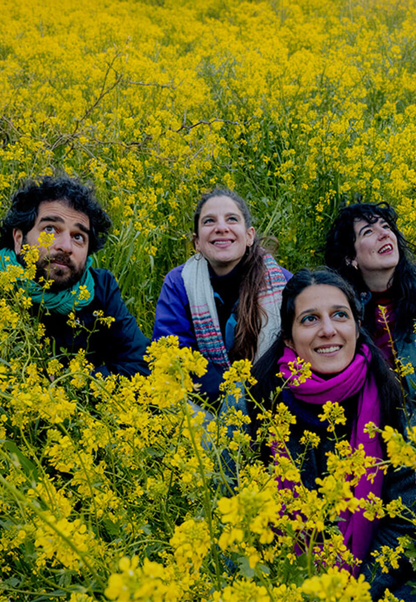 Collectif Medz Bazar