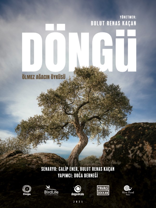 Döngü