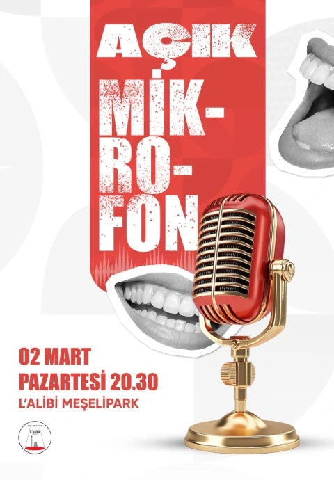 Bursa Açık Mikrofon Stand - Up Gecesi