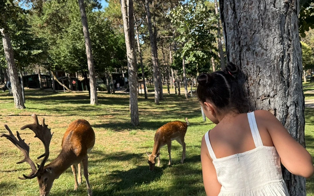 Park Of İstanbul - Hayvanat Bahçesi ve Serpme Kahvaltı