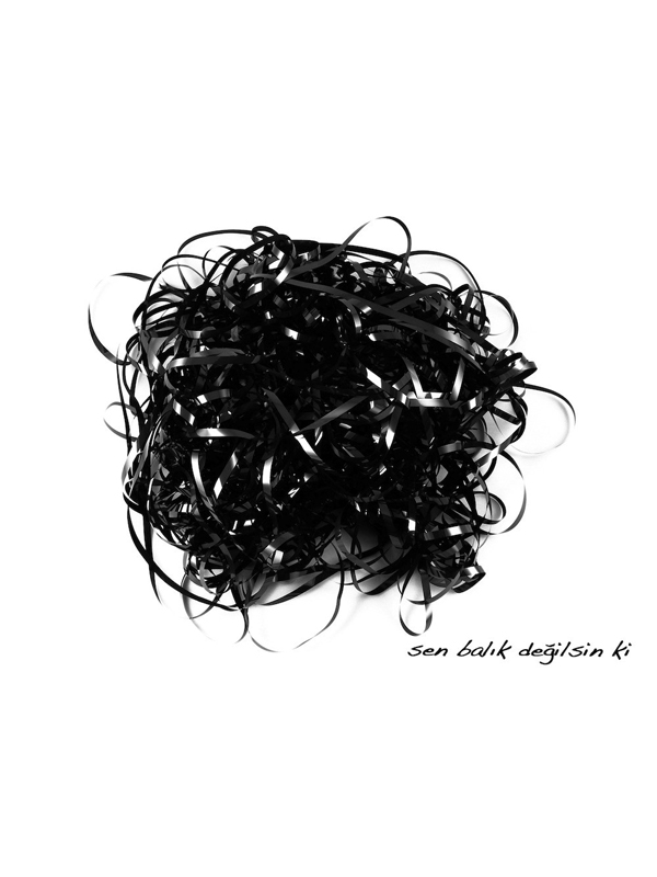 Sen Balık Değilsin ki