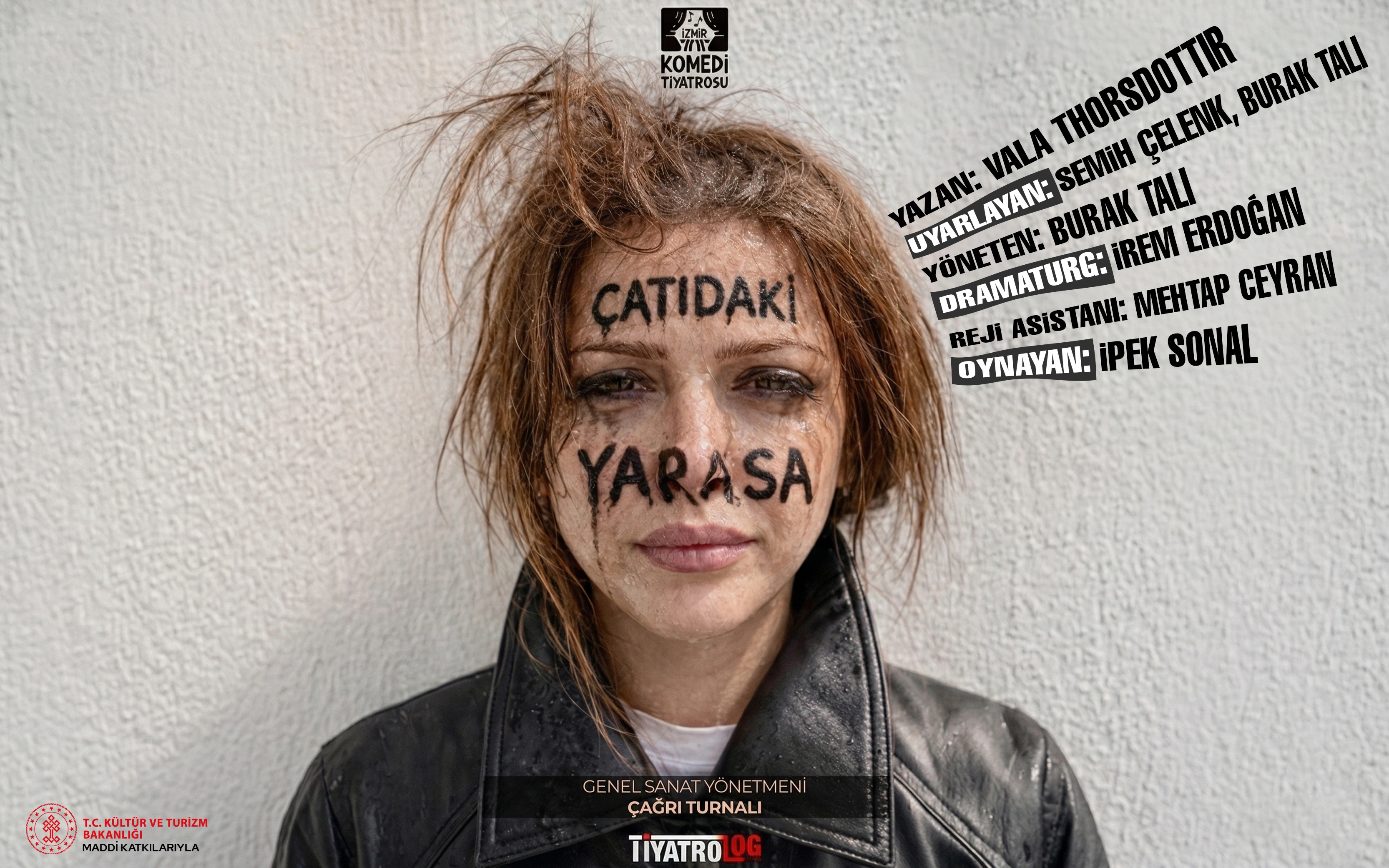 Çatıdaki Yarasa
