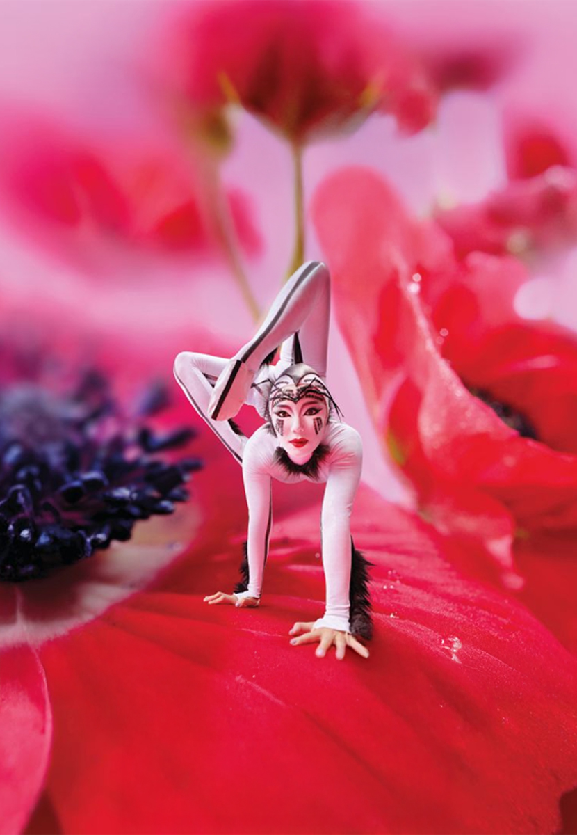 OVO – Cirque Du Soleil