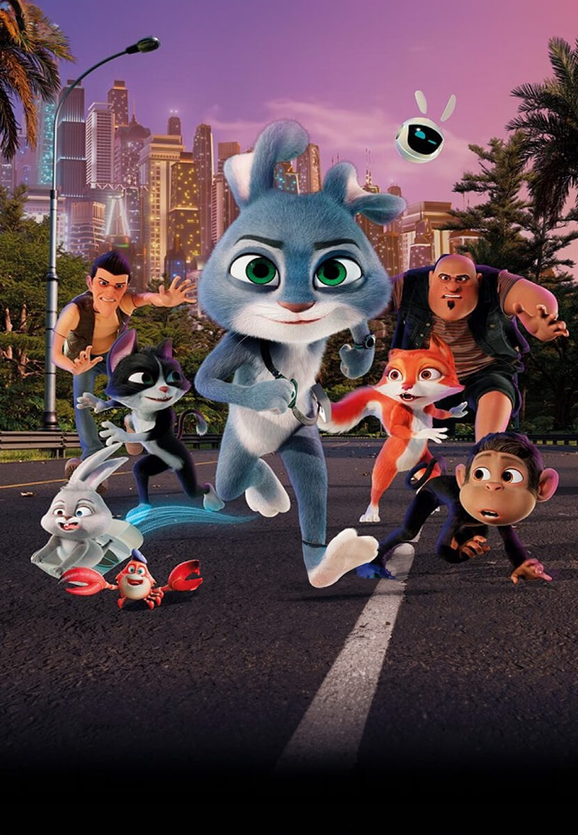 Akıllı Tavşan Momo: Büyük Takip