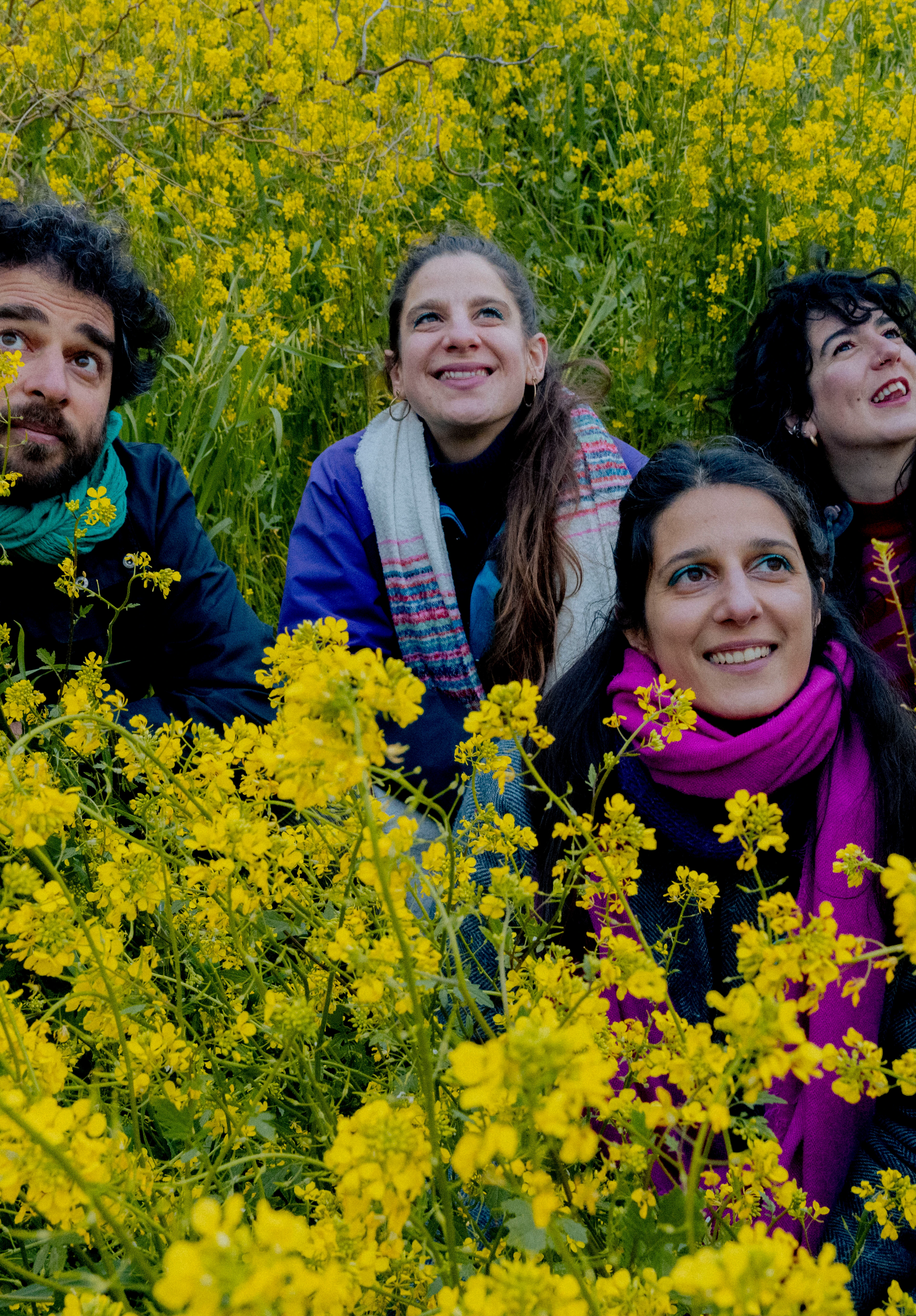 Collectif Medz Bazar