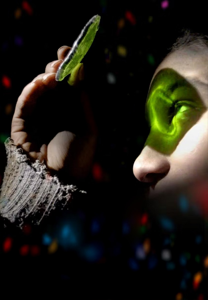 Tavşan İmparatorluğu