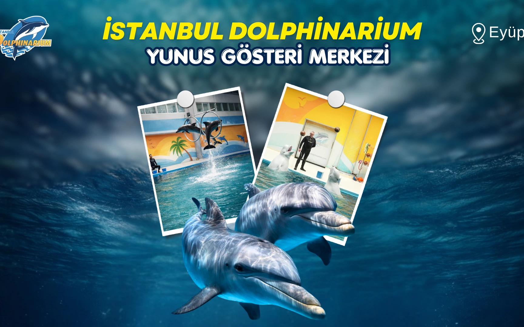 İstanbul Dolphinarium Yunus Gösteri Merkezi