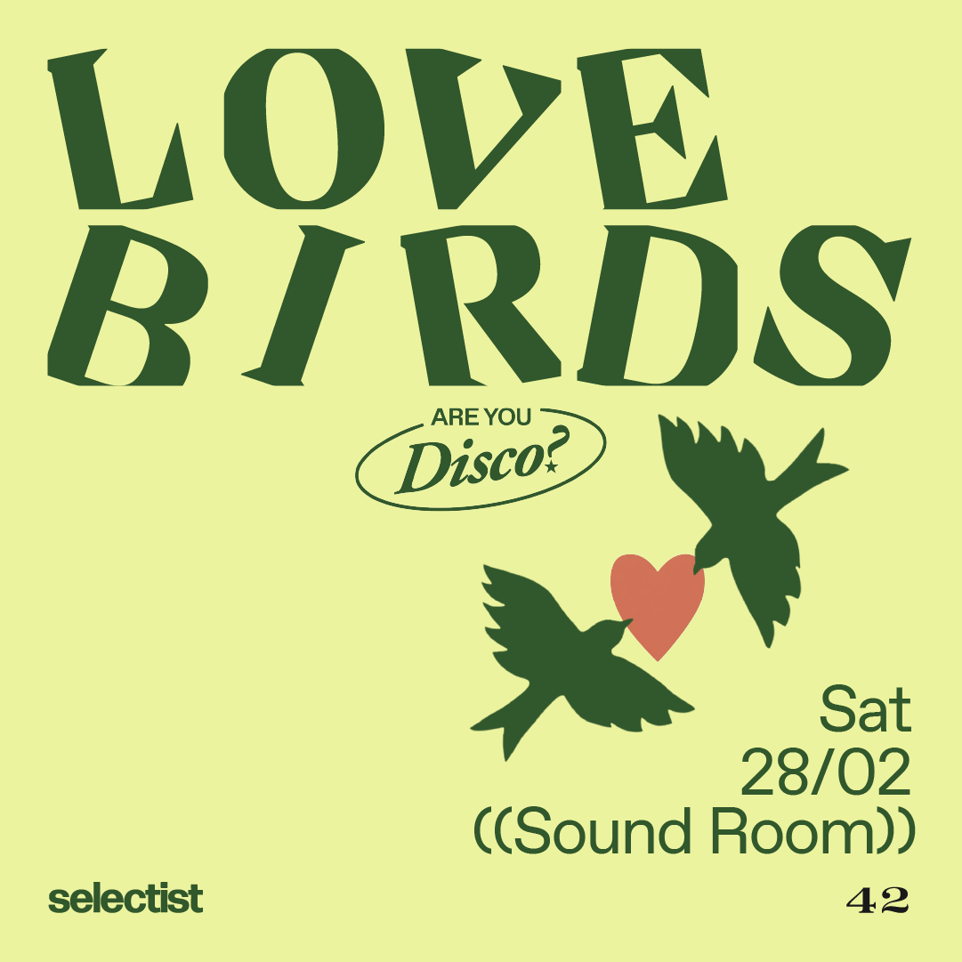 Mini Are You Disco? with Lovebirds