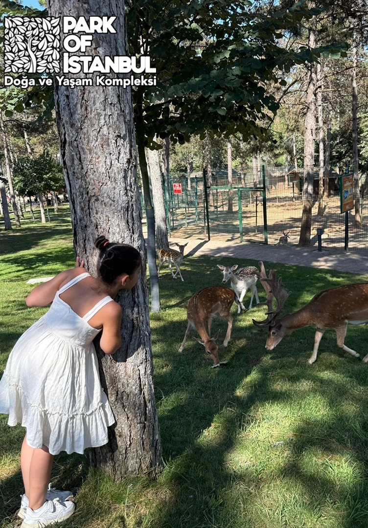 Park Of İstanbul - Hayvanat Bahçesi ve Serpme Kahvaltı