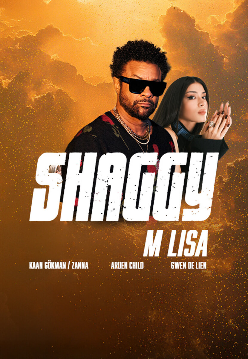 Incore Festival İstanbul : Shaggy
