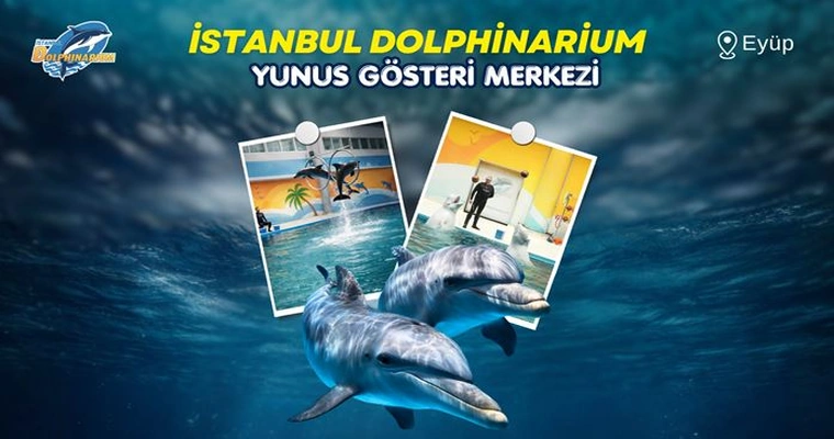 İstanbul Dolphinarium