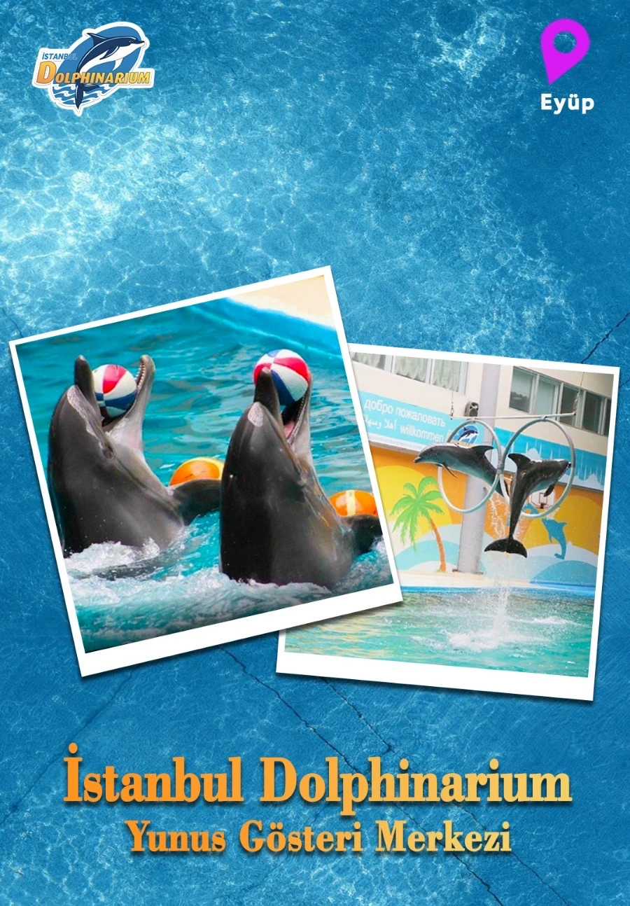 İstanbul Dolphinarium Yunus Gösteri Merkezi