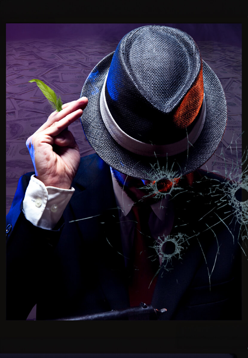 Yeşil Papağan Limited