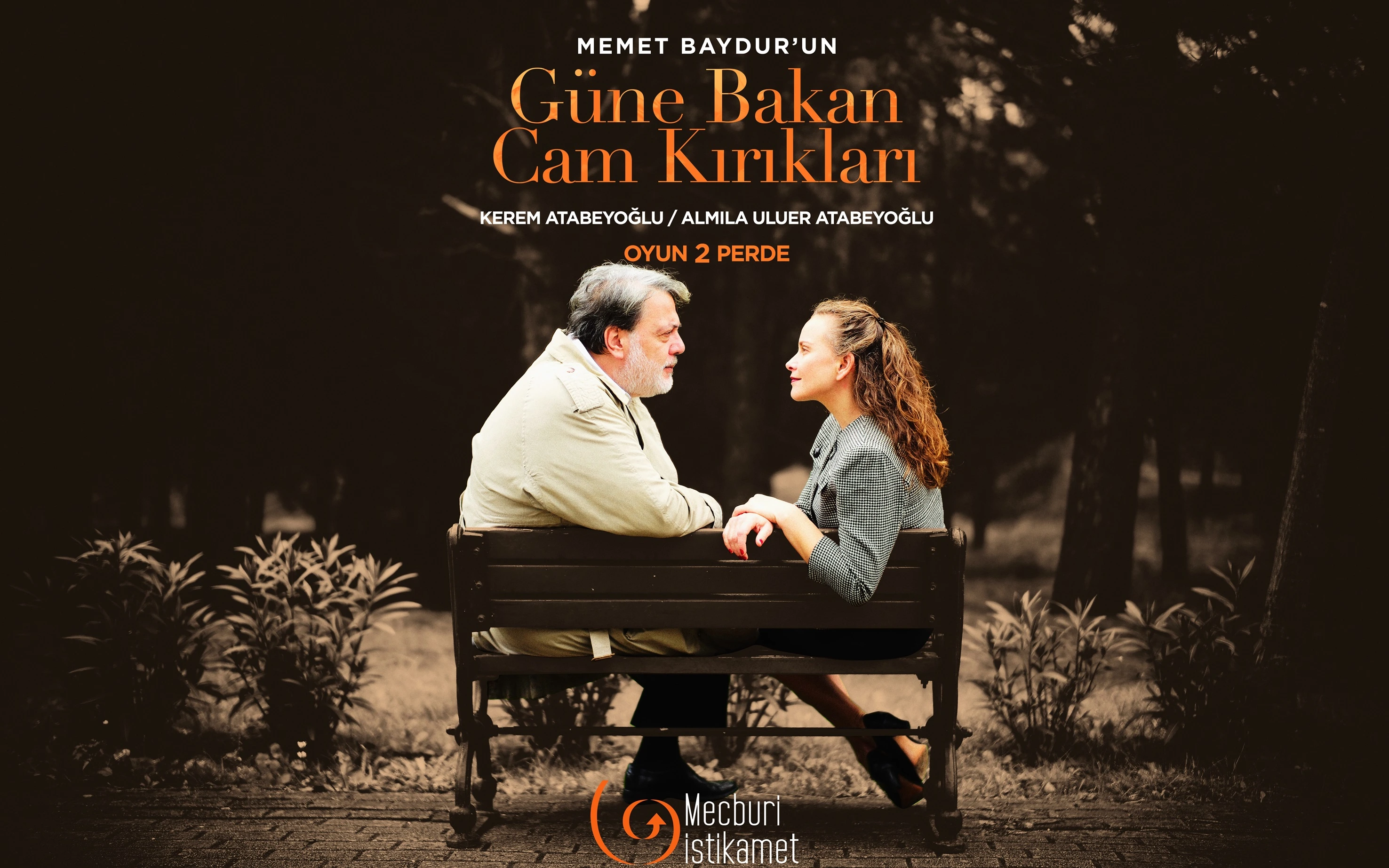 Güne Bakan Cam Kırıkları